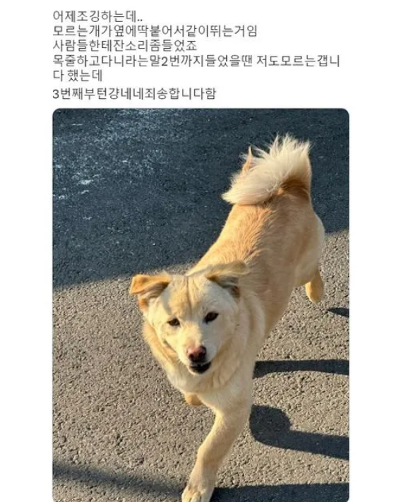 어제 조깅하는데 모르는 개가..