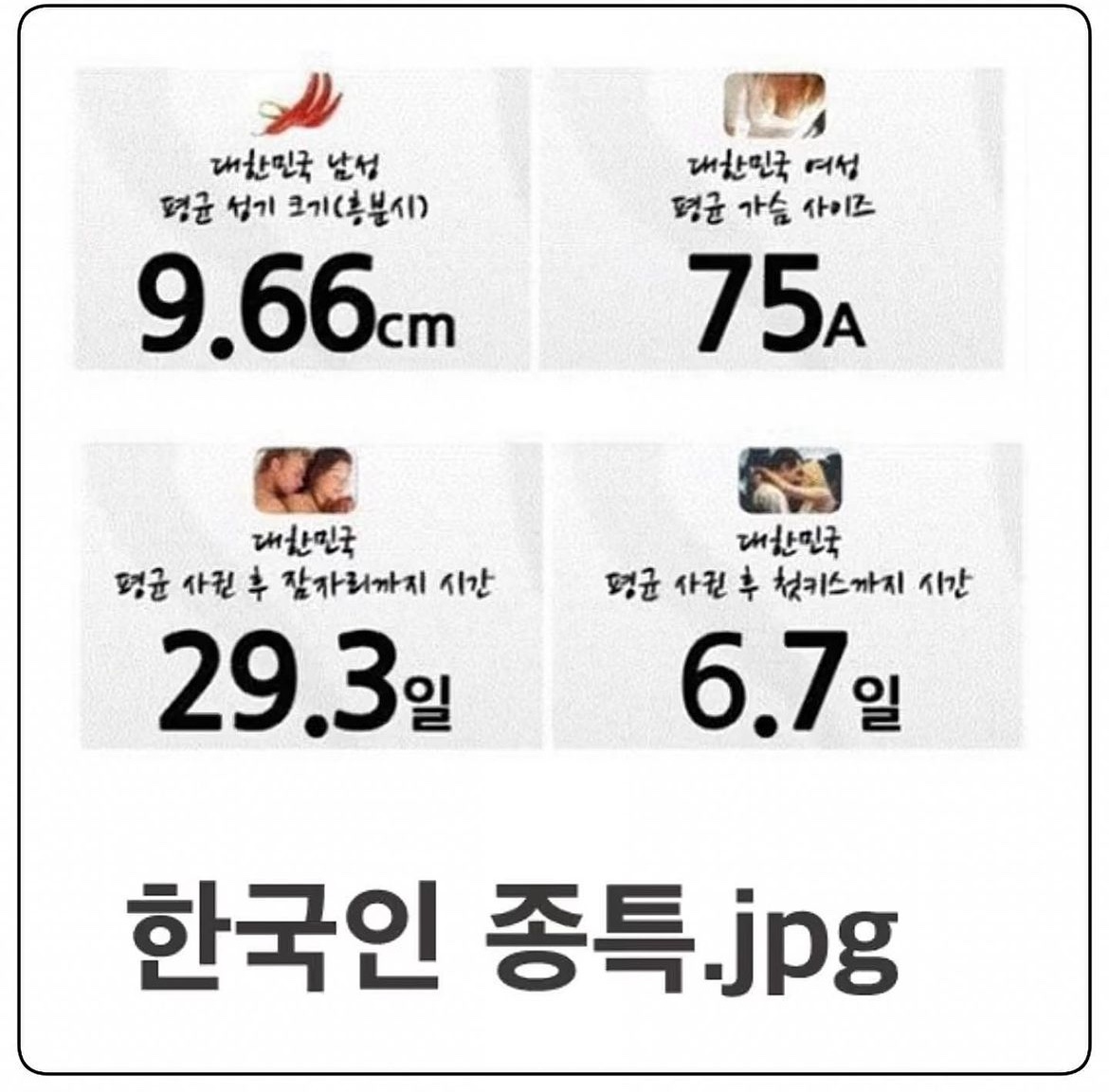 한국인종톡