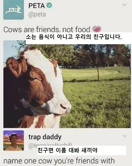 소는 음식이 아닙니다