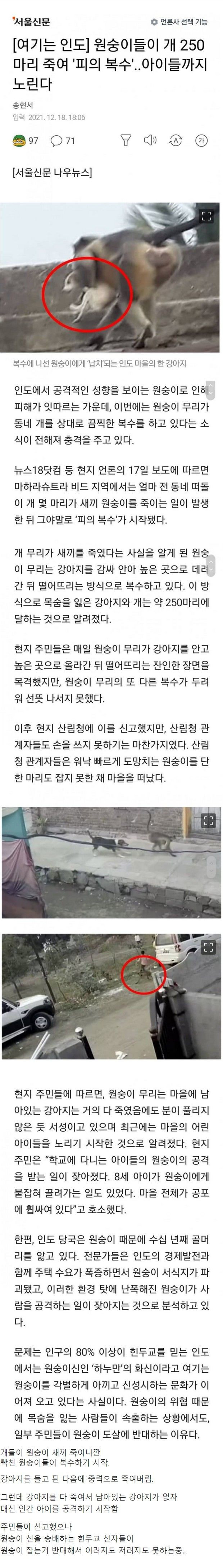 인도에서 벌어진 동물간 전쟁