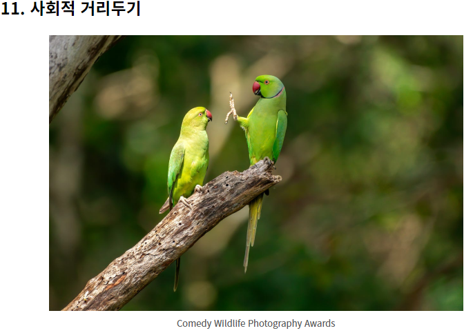 웃긴 야생 동물 사진 대회!