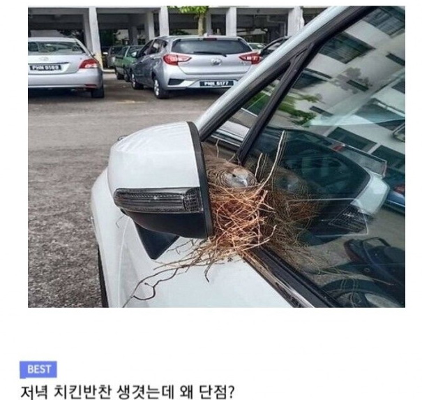 장기주차의 단점.jpg