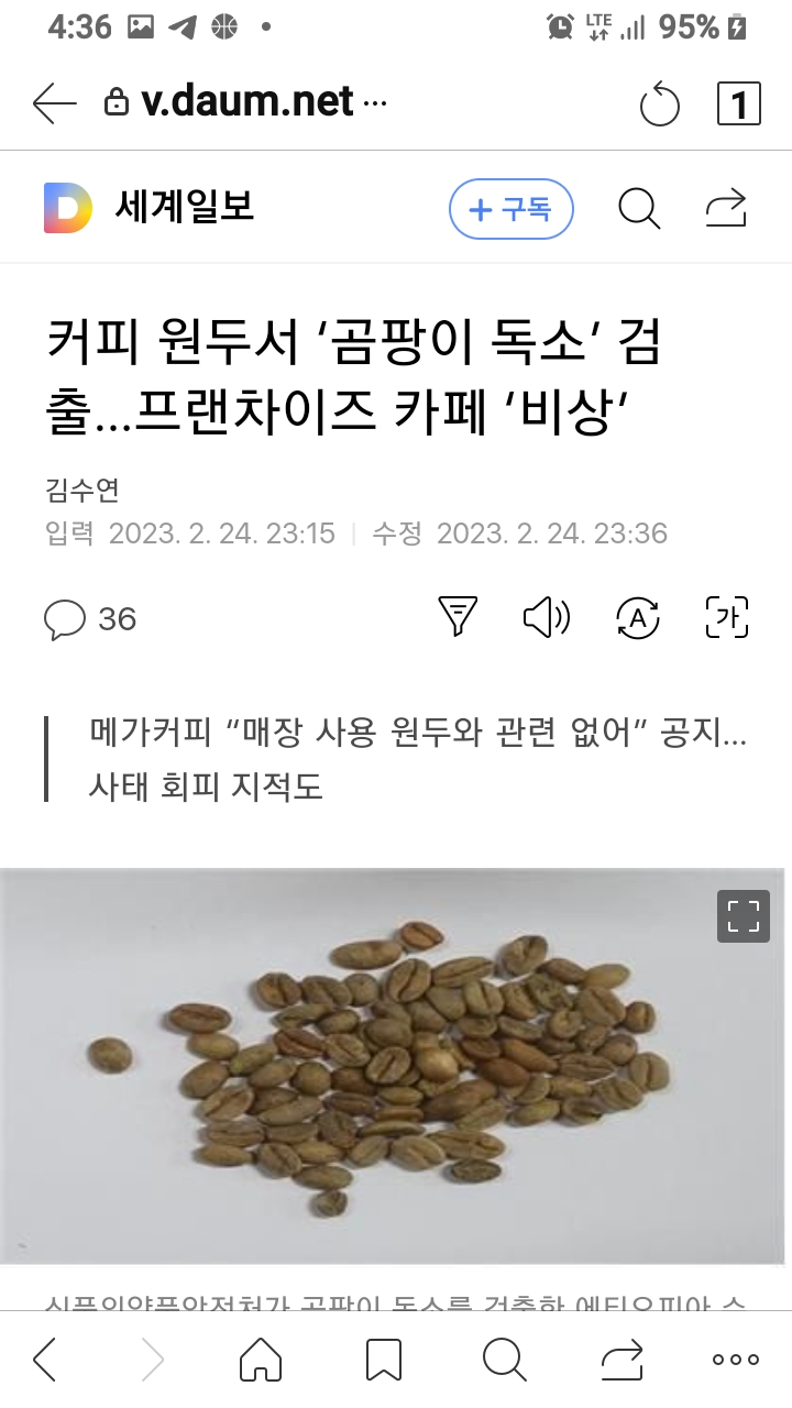 이제 커피 먹지말아야 하는건가요?