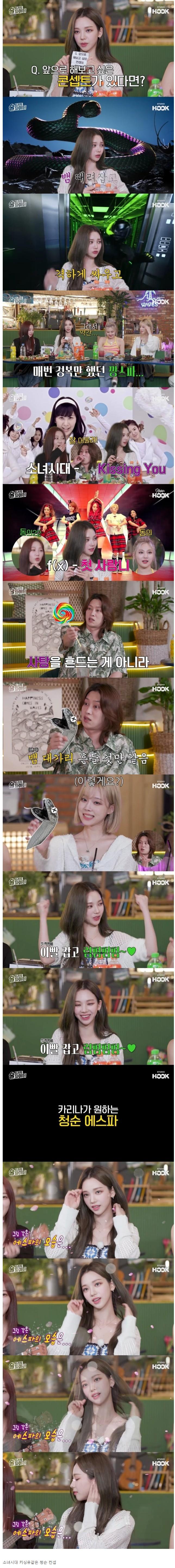 카리나가 하고 싶다고 밝힌 걸그룹 컨셉