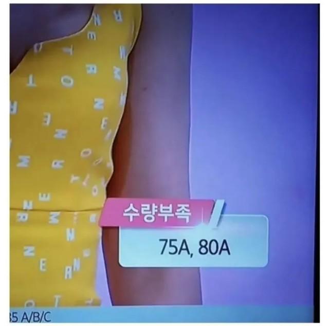 오피셜 때린 대한민국 평균 가슴 사이즈