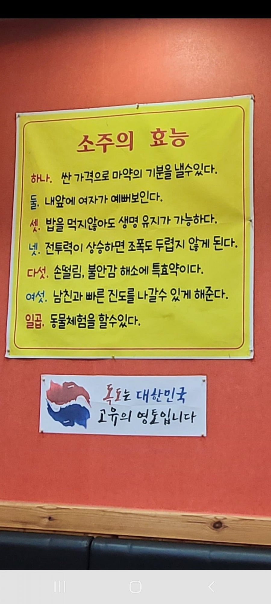 소주의효능