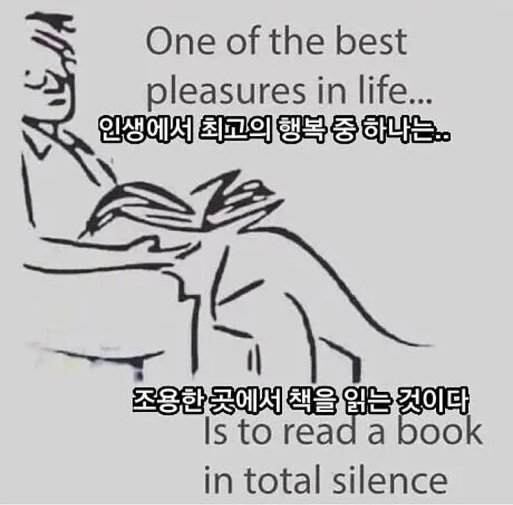 다른 생각 금지요ㅋ