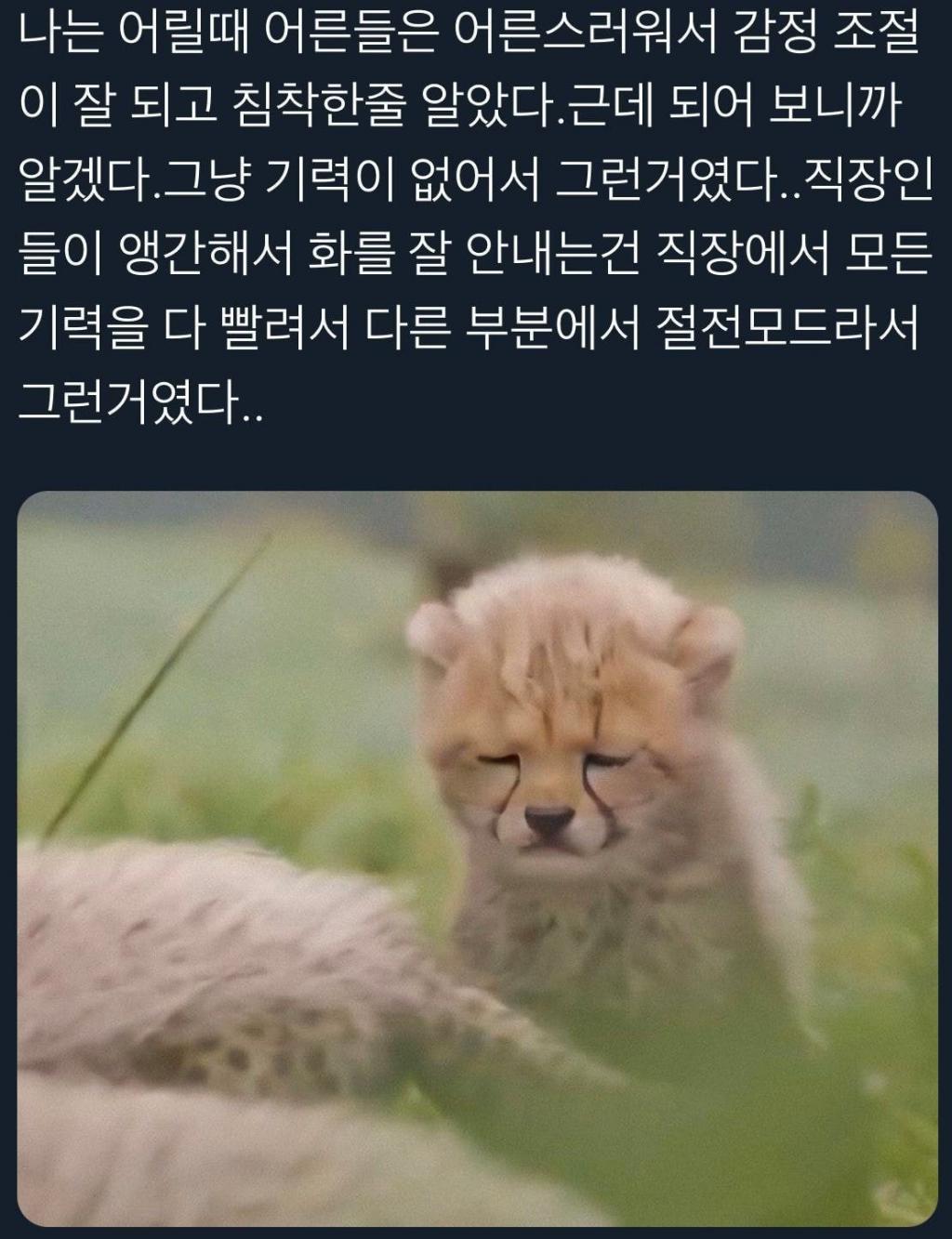 어른이란