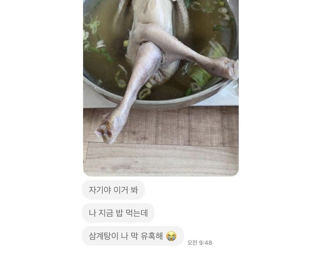 유혹의 삼계탕 ㅗㅜㅑ