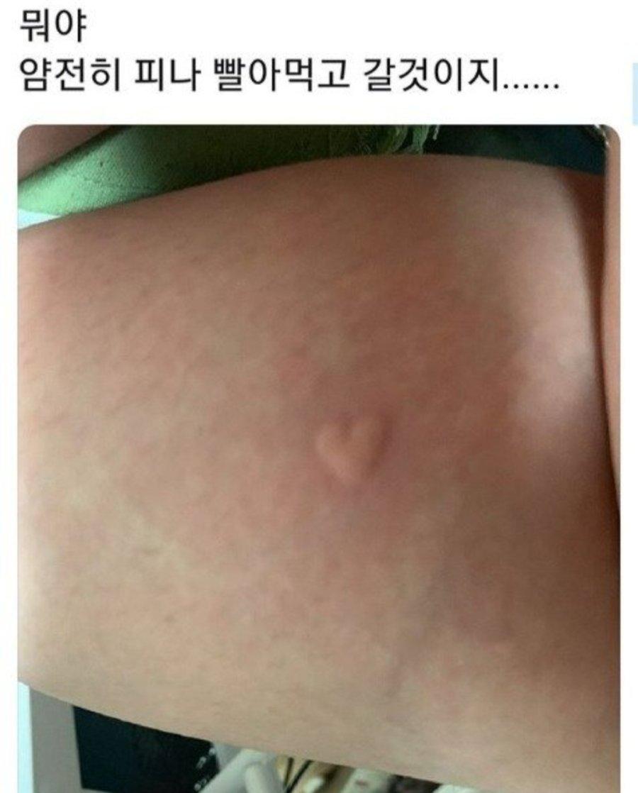 뜬금 사랑 고백받은 남자