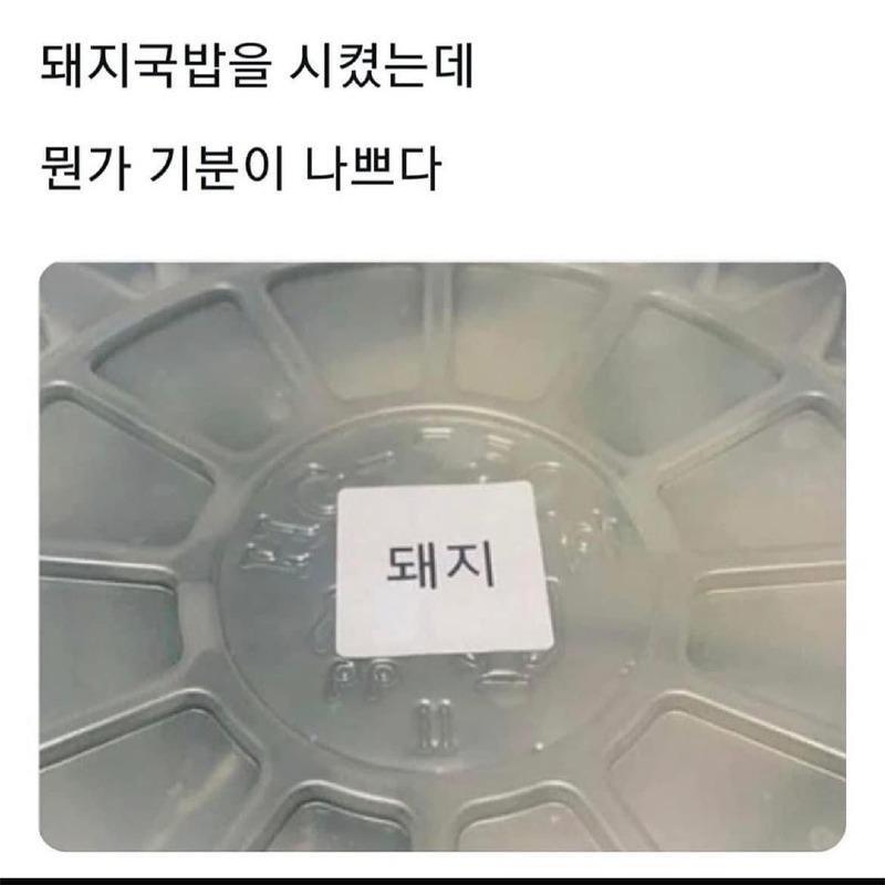 손님 화나게 만드는 돼지국밥