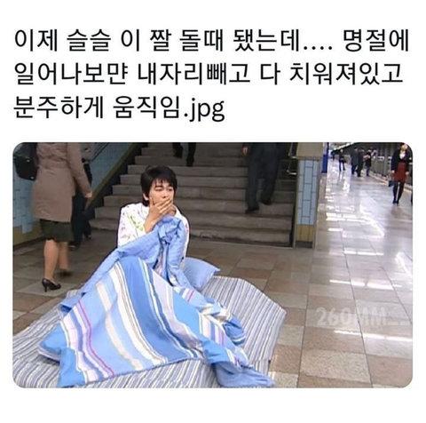 명절 아침에 눈 떴을 때 공감