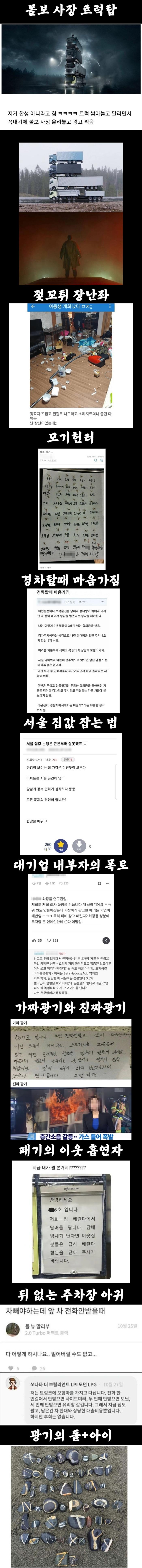 진짜 광기에 사로잡힌 사람들