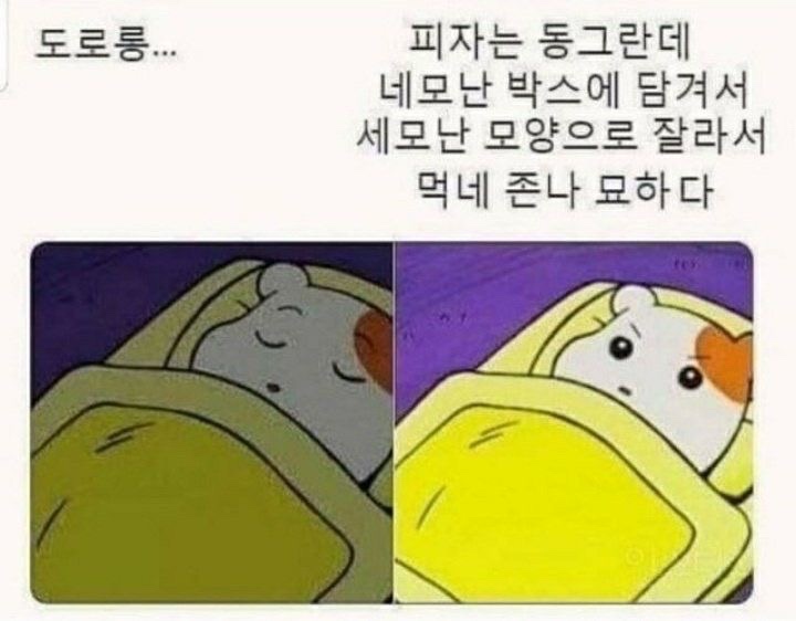 피자의 의문점