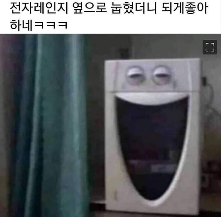 신난 전자레인지
