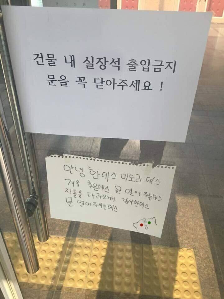 건물내 실장석 출입금지