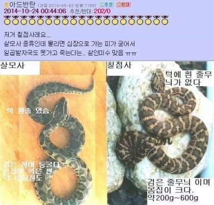 중고나라 살모사 거래 사건