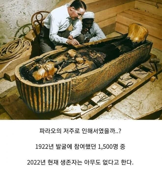 무시무시한 파라오의 저주