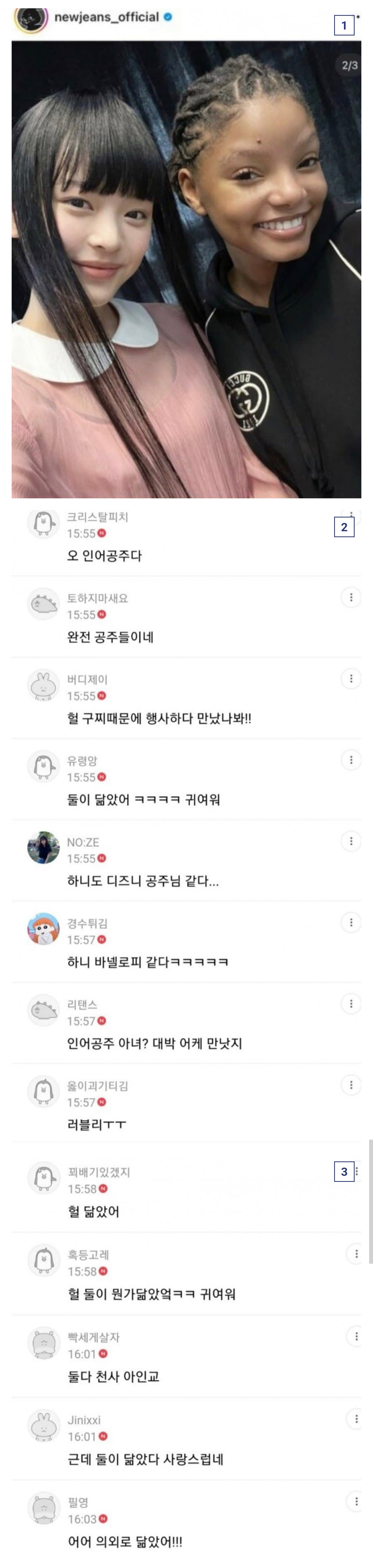 뉴진스 하니 흑어공주 사진 여시반응