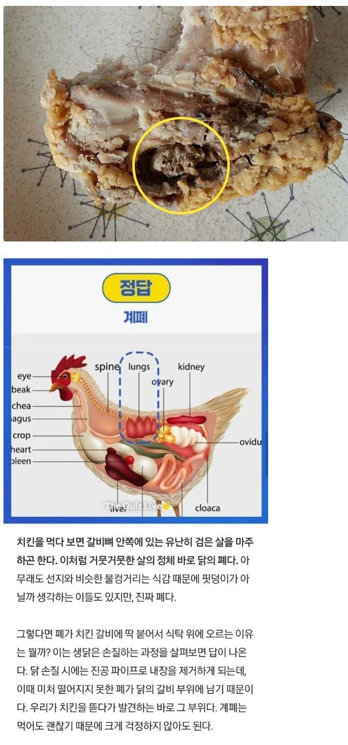 치킨 갈비뼈에 붙은 흑색 덩어리의 정체.