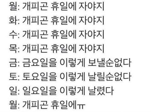 개피곤