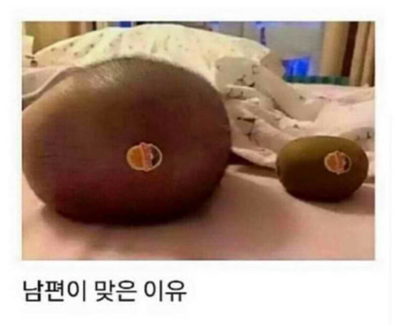 남편이 맞은 이유