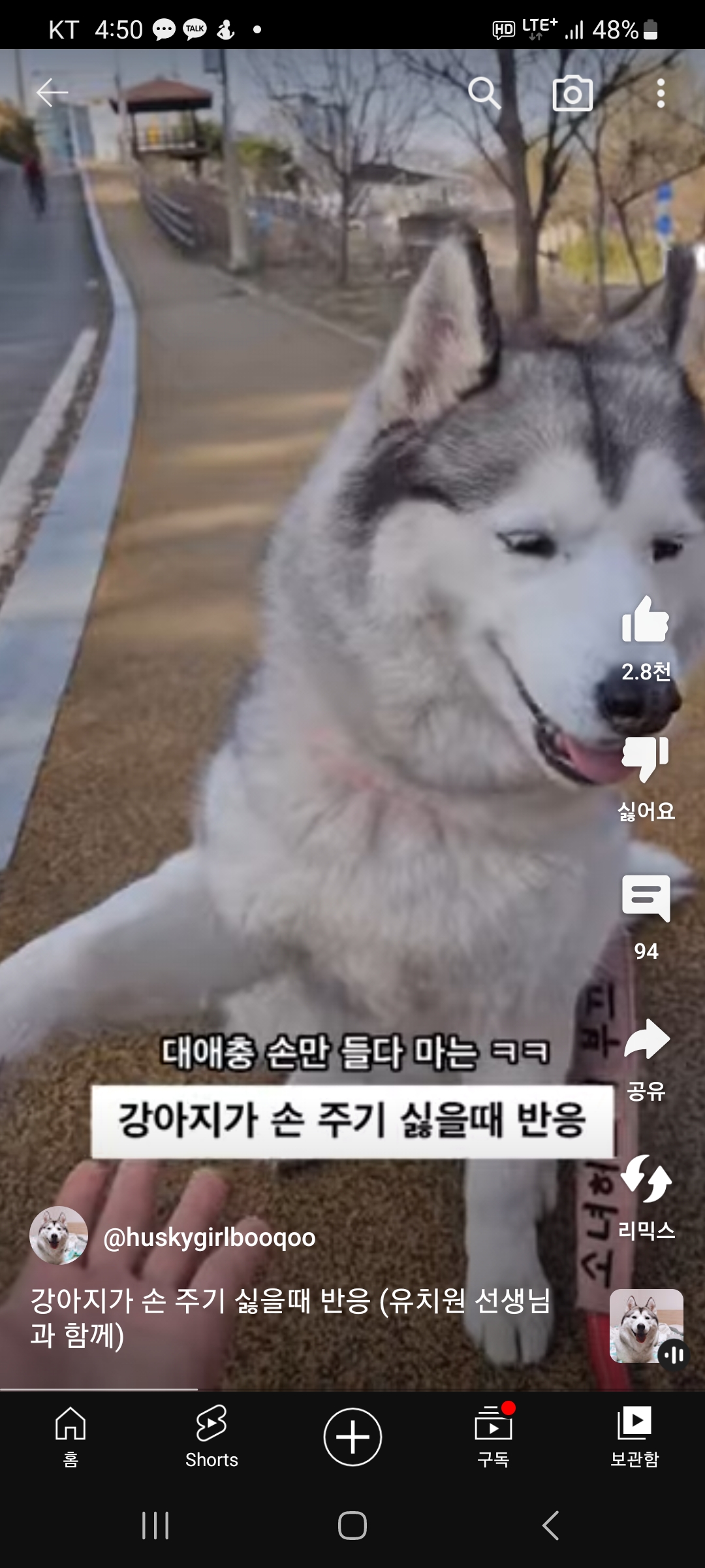 강아지 손주기 싫을때 반응 ㅋ