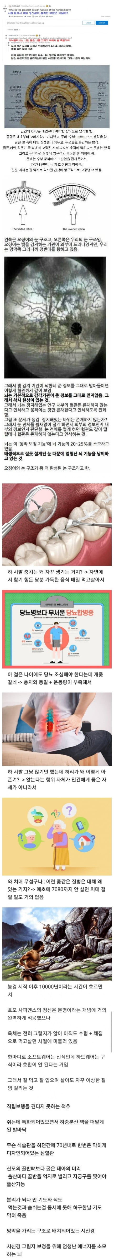 싱글벙글 설계가 잘못된 생물.jpg