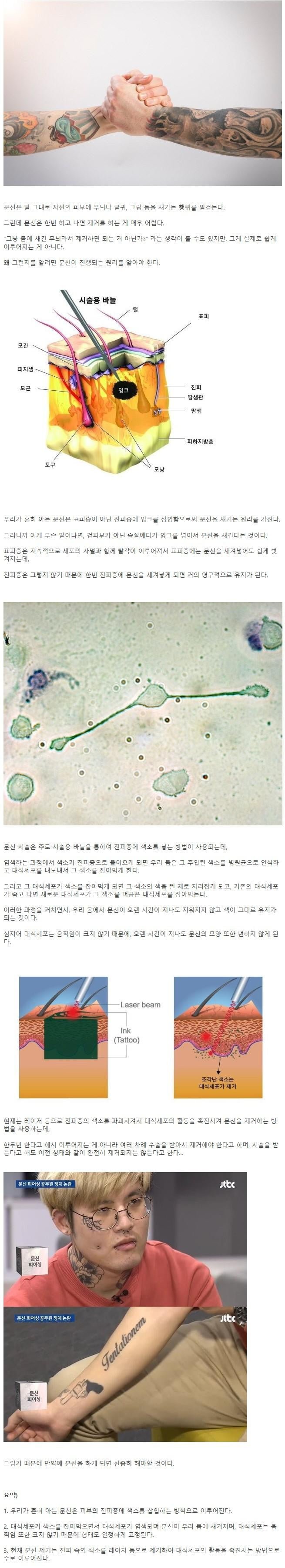 문신이 피부 속에서 오랫동안 유지되는 이유