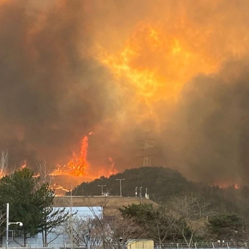 실시간 제대로 난리난 강릉 산불 ㄷㄷ