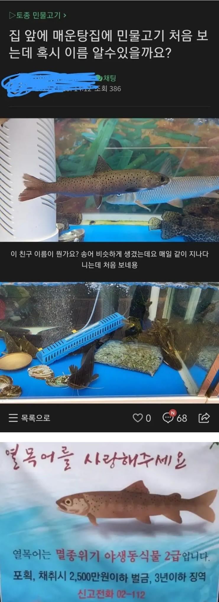 2,500만원짜리 민물고기 매운탕