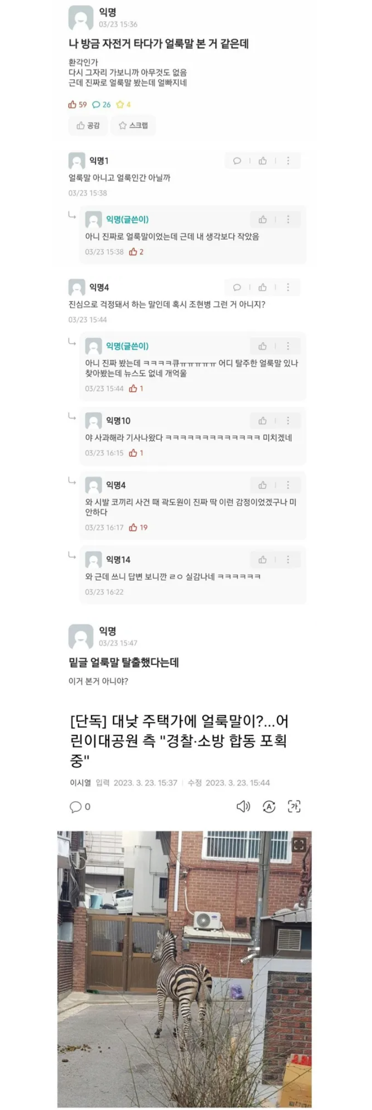 기사뜨기전 얼룩말 얘기했다가 조현병 의심받은 학생