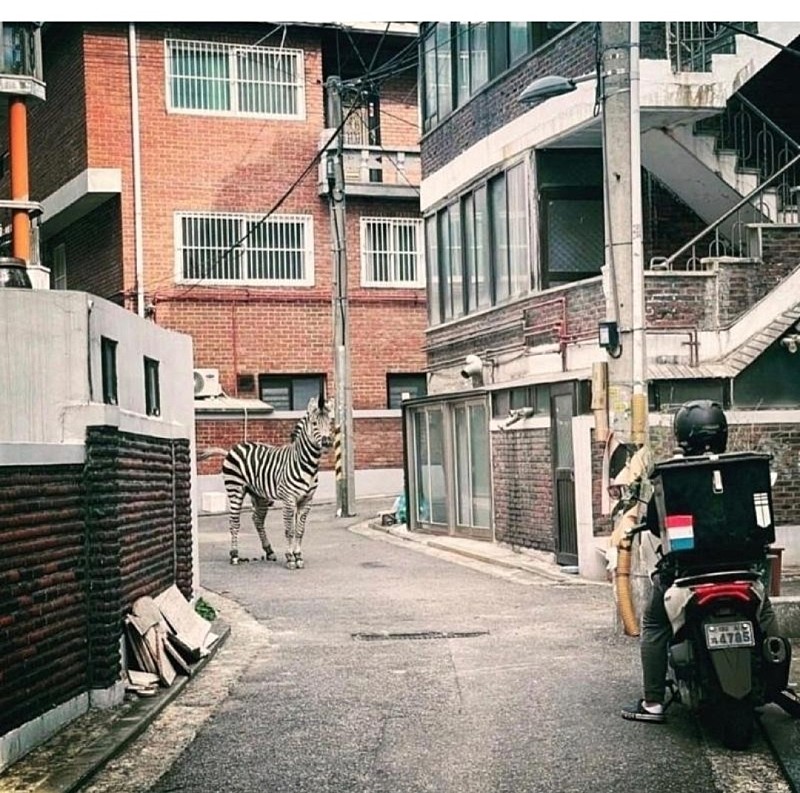 배달이 늦어진 이유