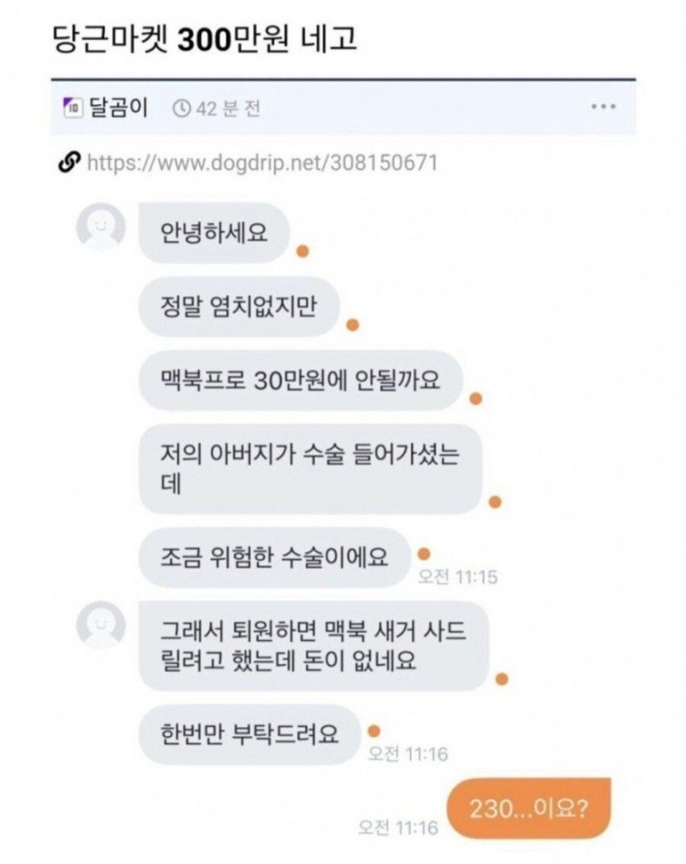 당근마켓 300만원 네고 사유