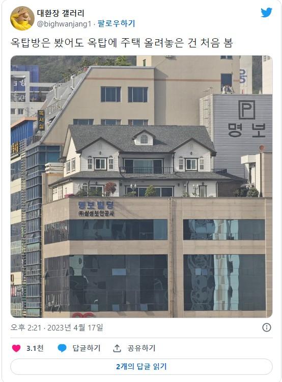 보는 순간 물음표만 남발되는 사진