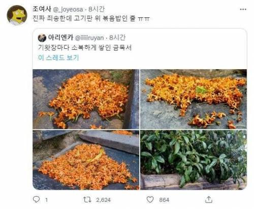 이거 고깃집 철판 볶음밥 아님