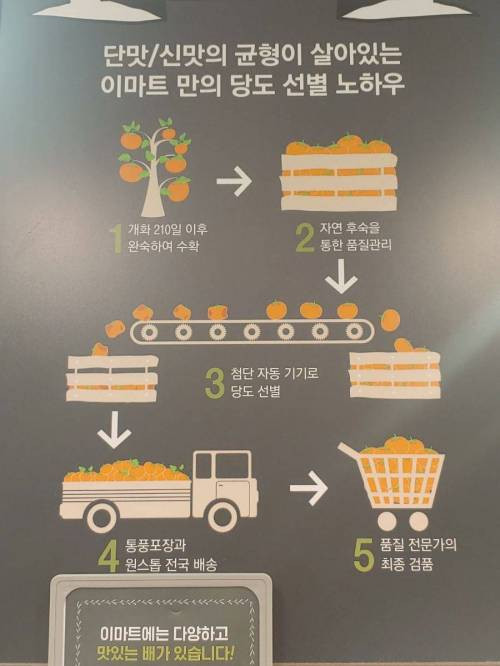 이마트 배가 맛이 없는 이유...