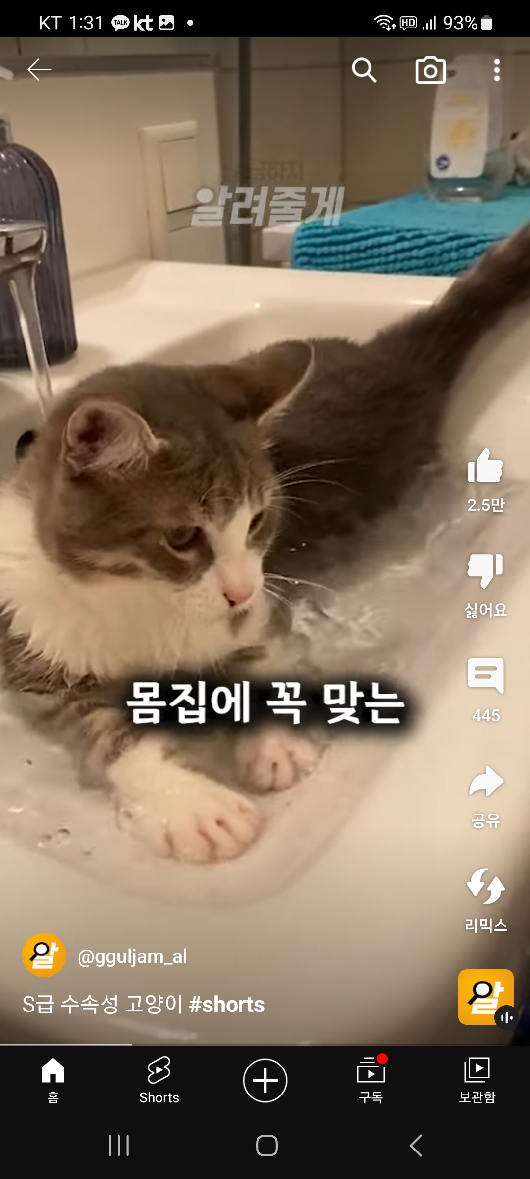 전생이수달이었던 냥냥이