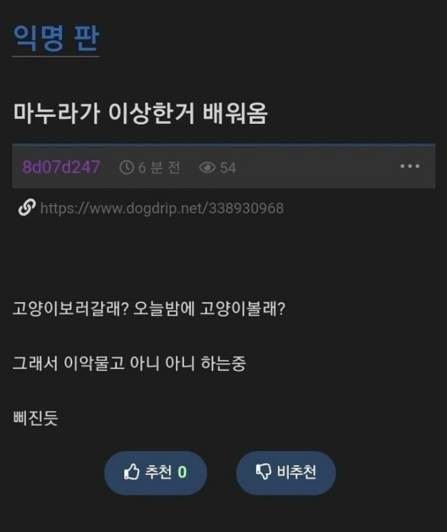 마누라가 이상한 거 배워옴