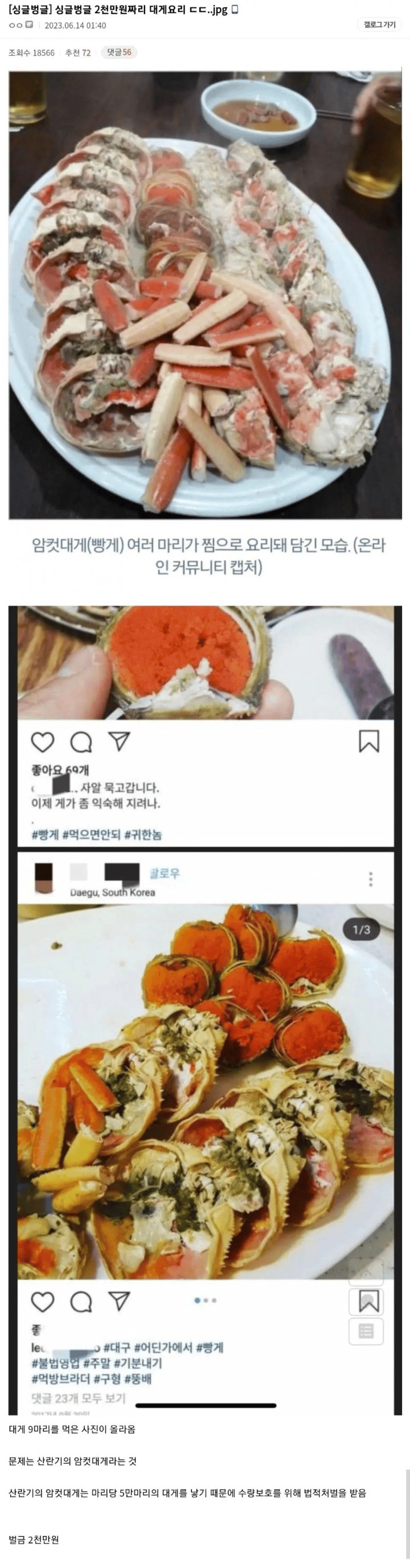 2000만원짜리 대게요리