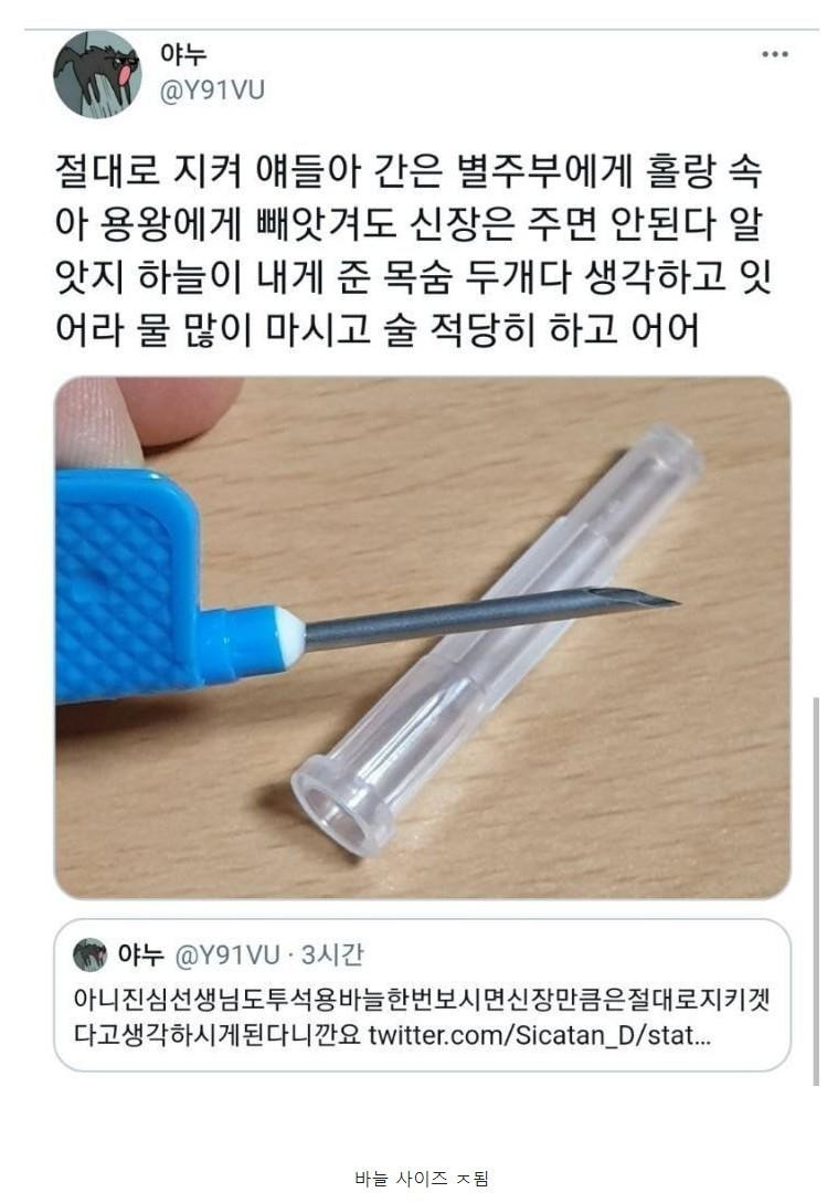 신장 건강 주의해야하는 이유