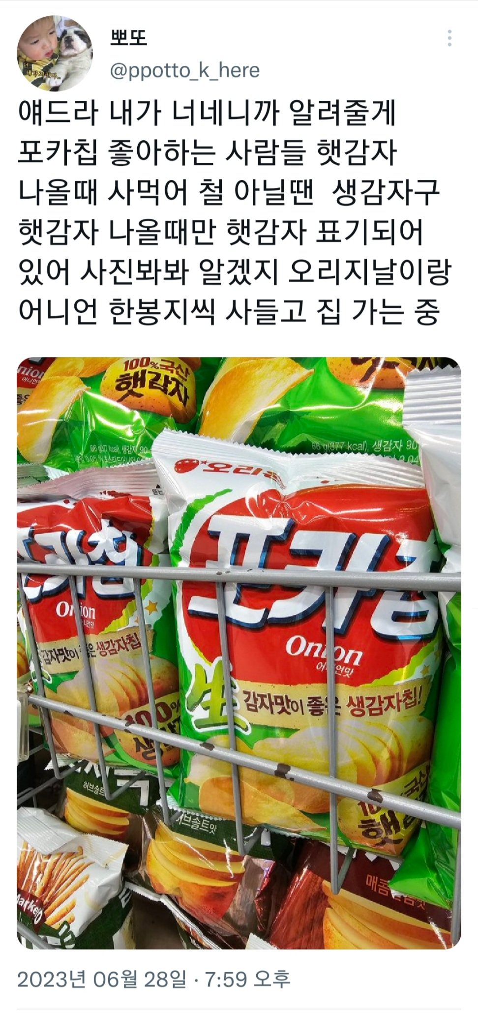 요즘 제철이라 지금 먹으면 맛있다는 과자 ㄷㄷㄷㄷ.JPG