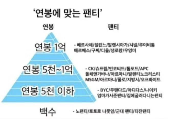 연봉에 맞는 팬티