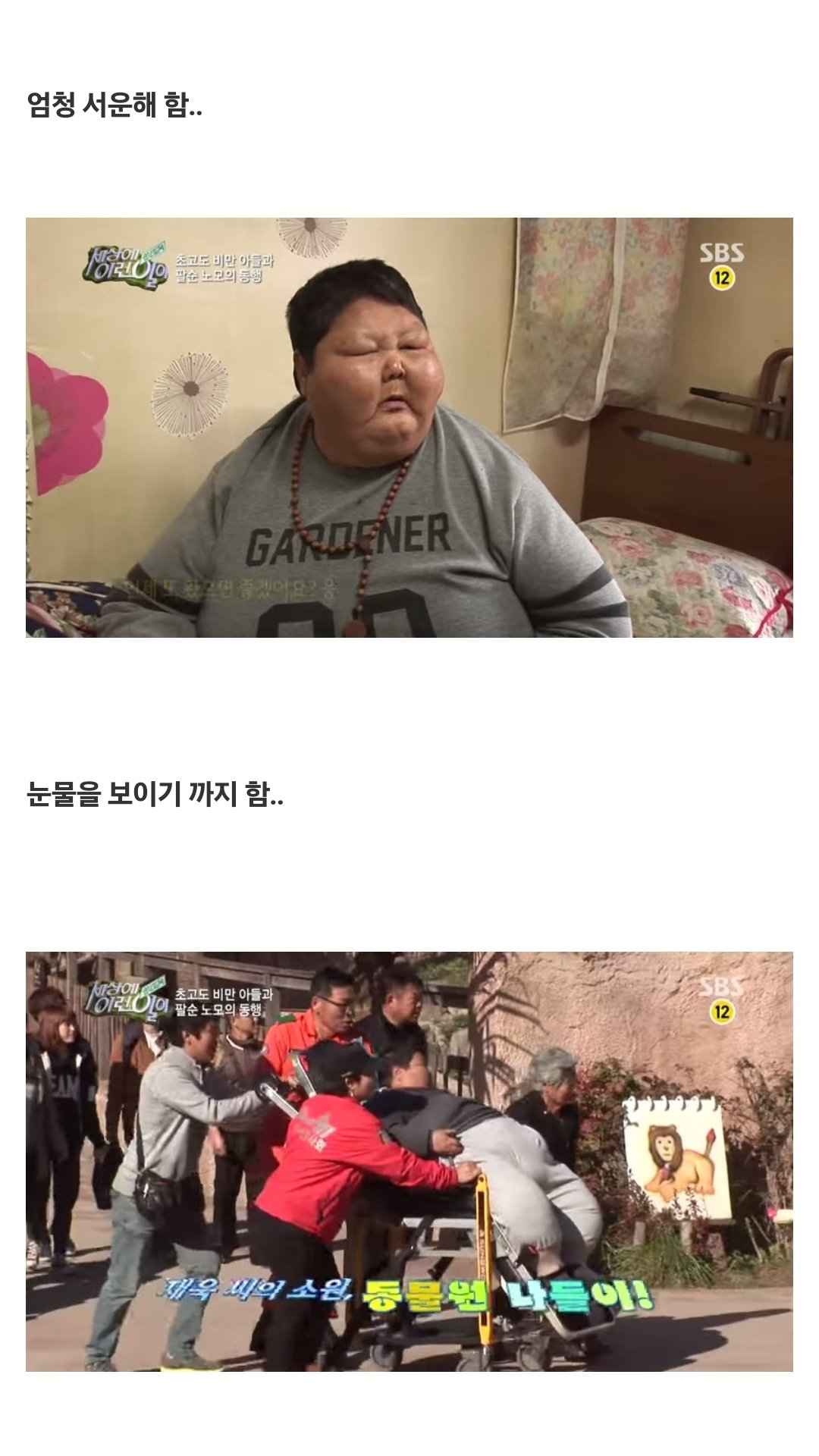 세상에 이런일이 초고도비만 아들