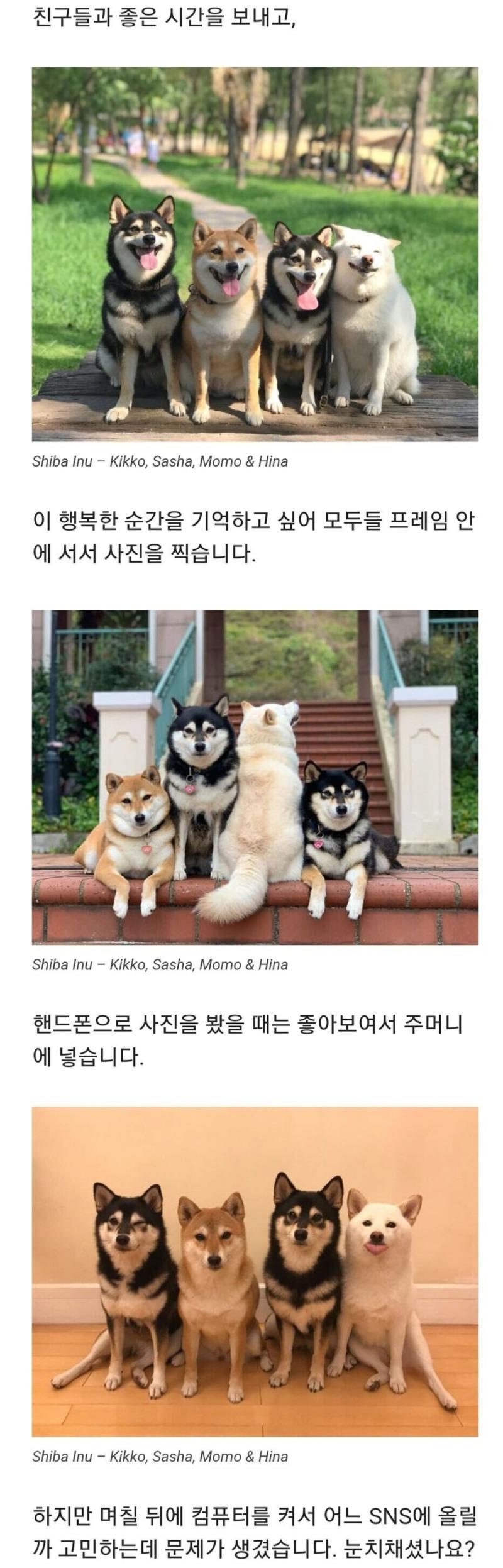 사진찍을 때 꼭있는 친구