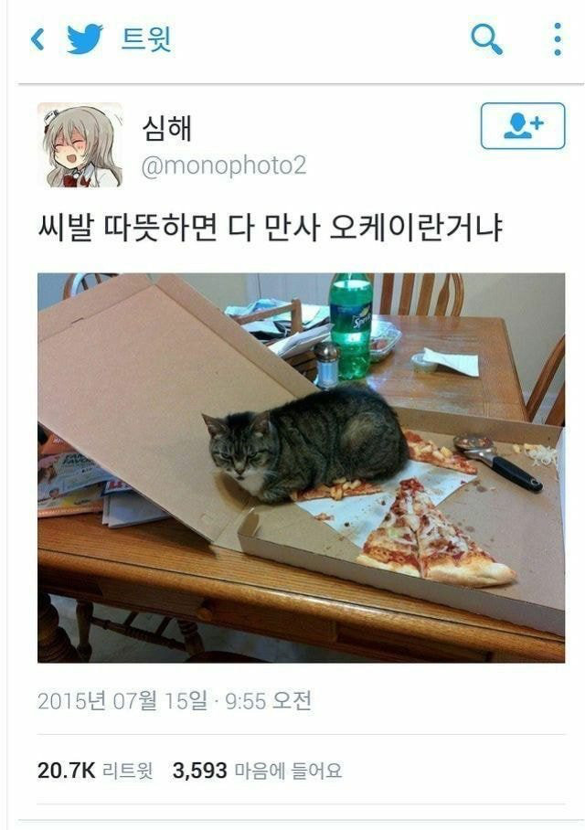 고양이 토핑