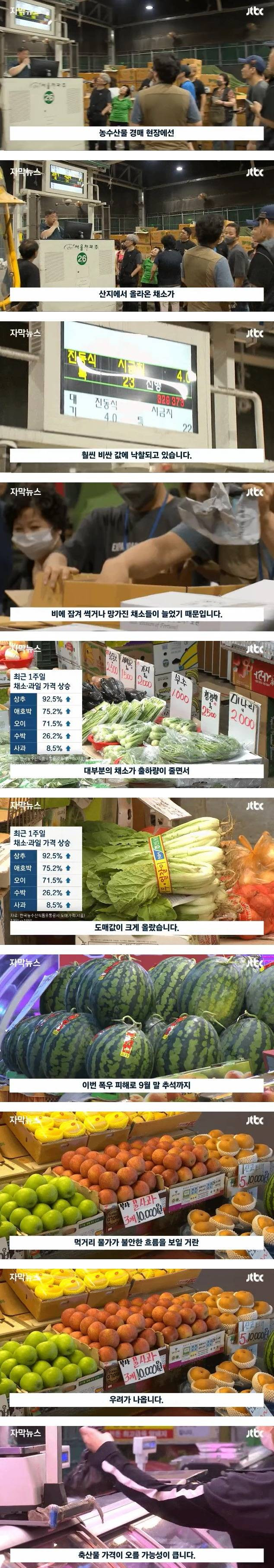 폭우로 난리난 농수산물 경매 현장