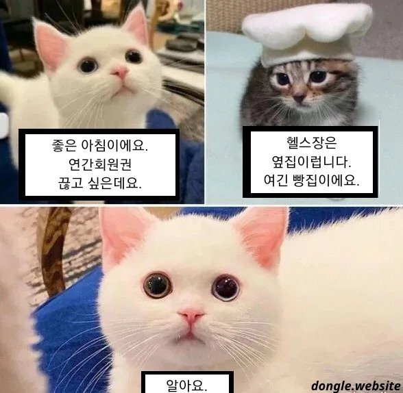 연간회원권 끊고 싶은데요.