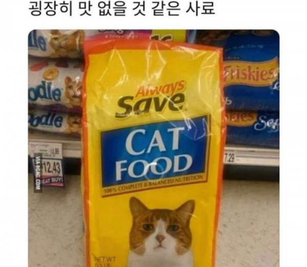 고양이 표정이 말해준다