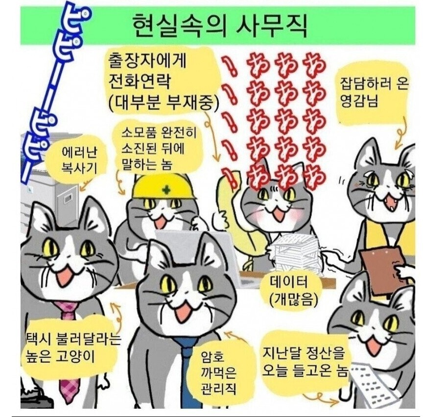 사무직의 현실